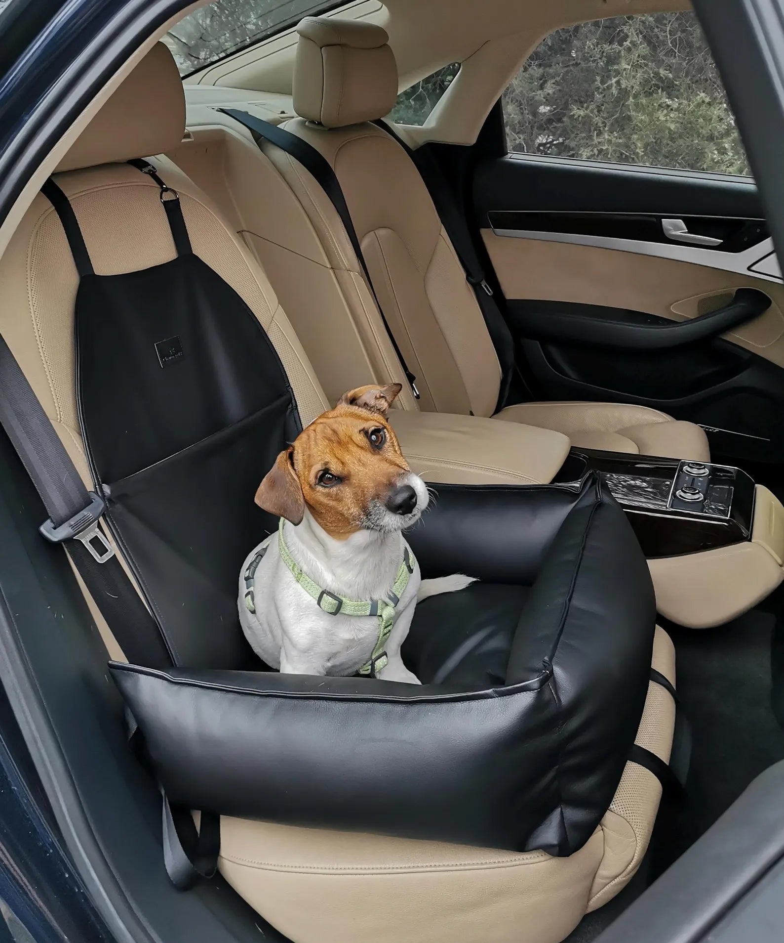 Dog Car Seat in Black