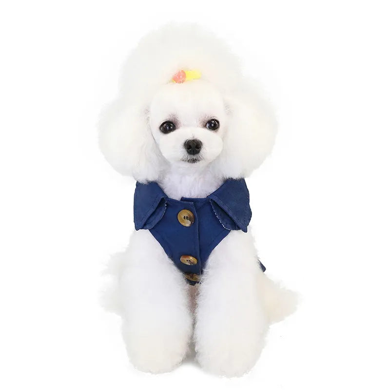 Classic Trench Coat for Small Dog in French Navy