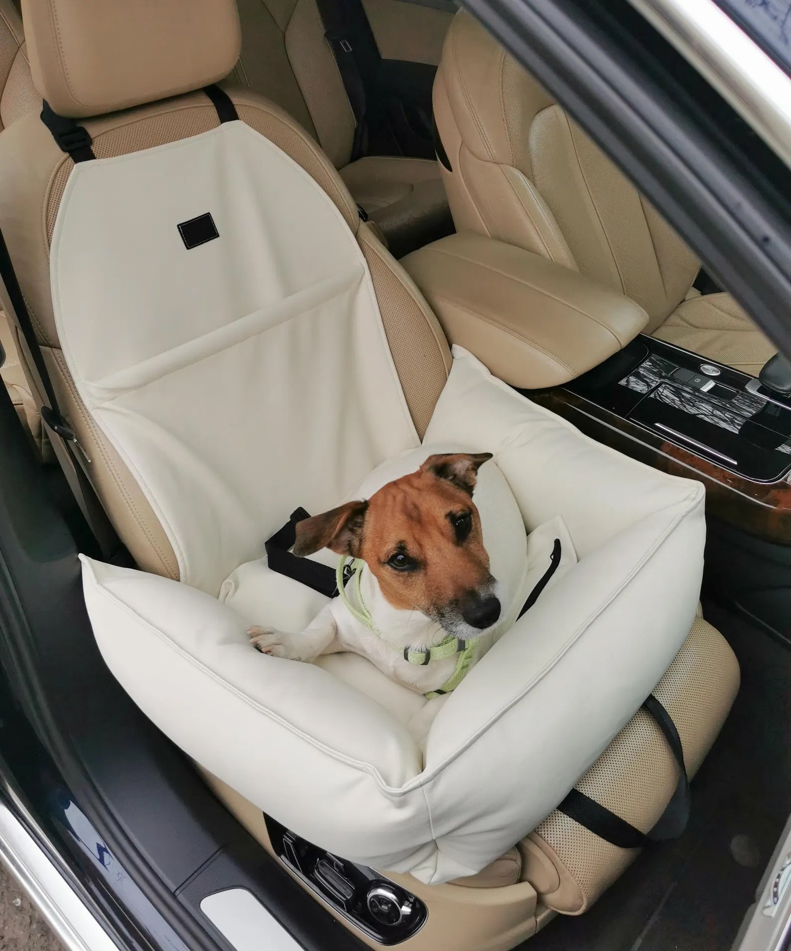 Dog Car Seat in Ivory