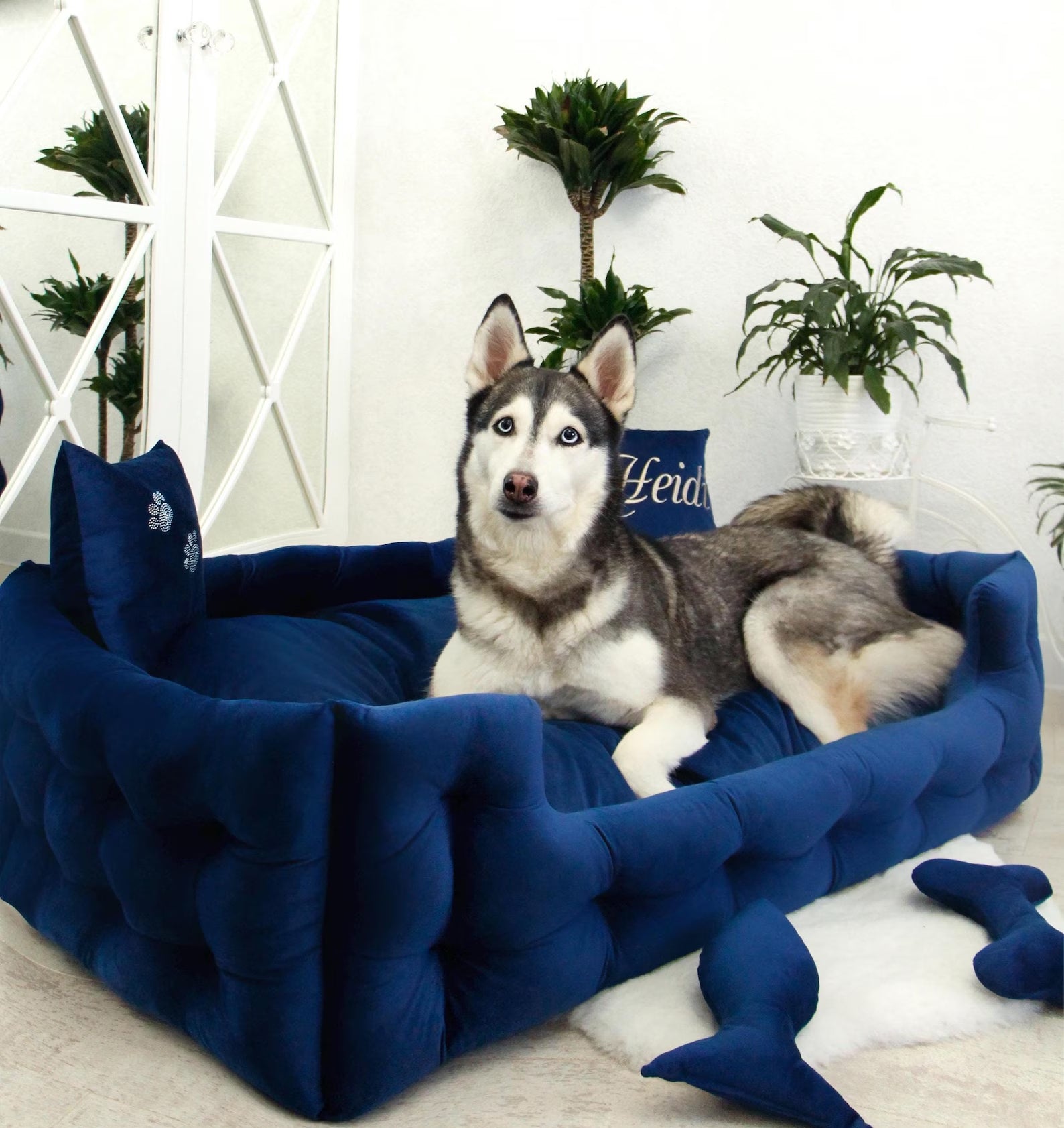 Velvet Dog Bed in Royal Blue