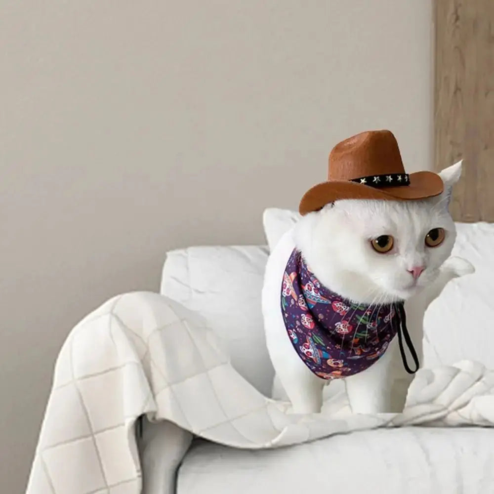 Wild West Cowboy Hat for Small Dog or Cat