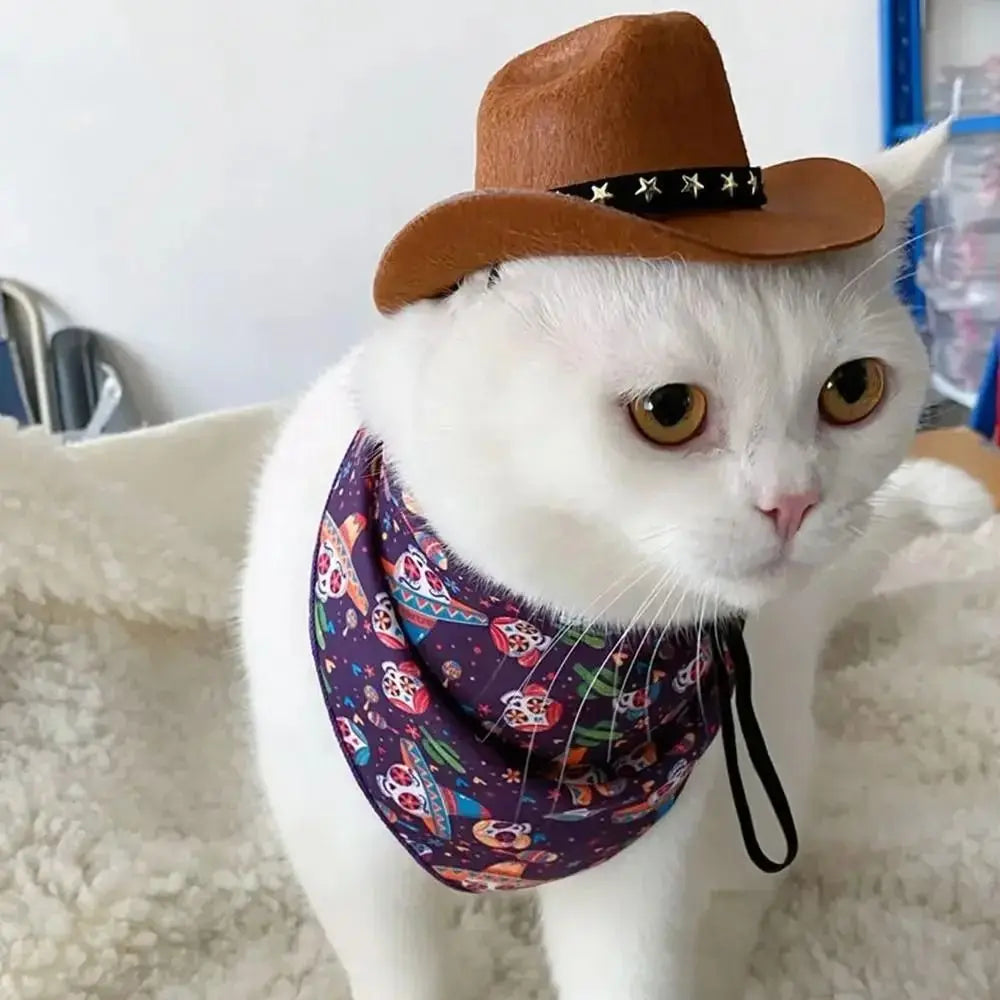 Wild West Cowboy Hat for Small Dog or Cat