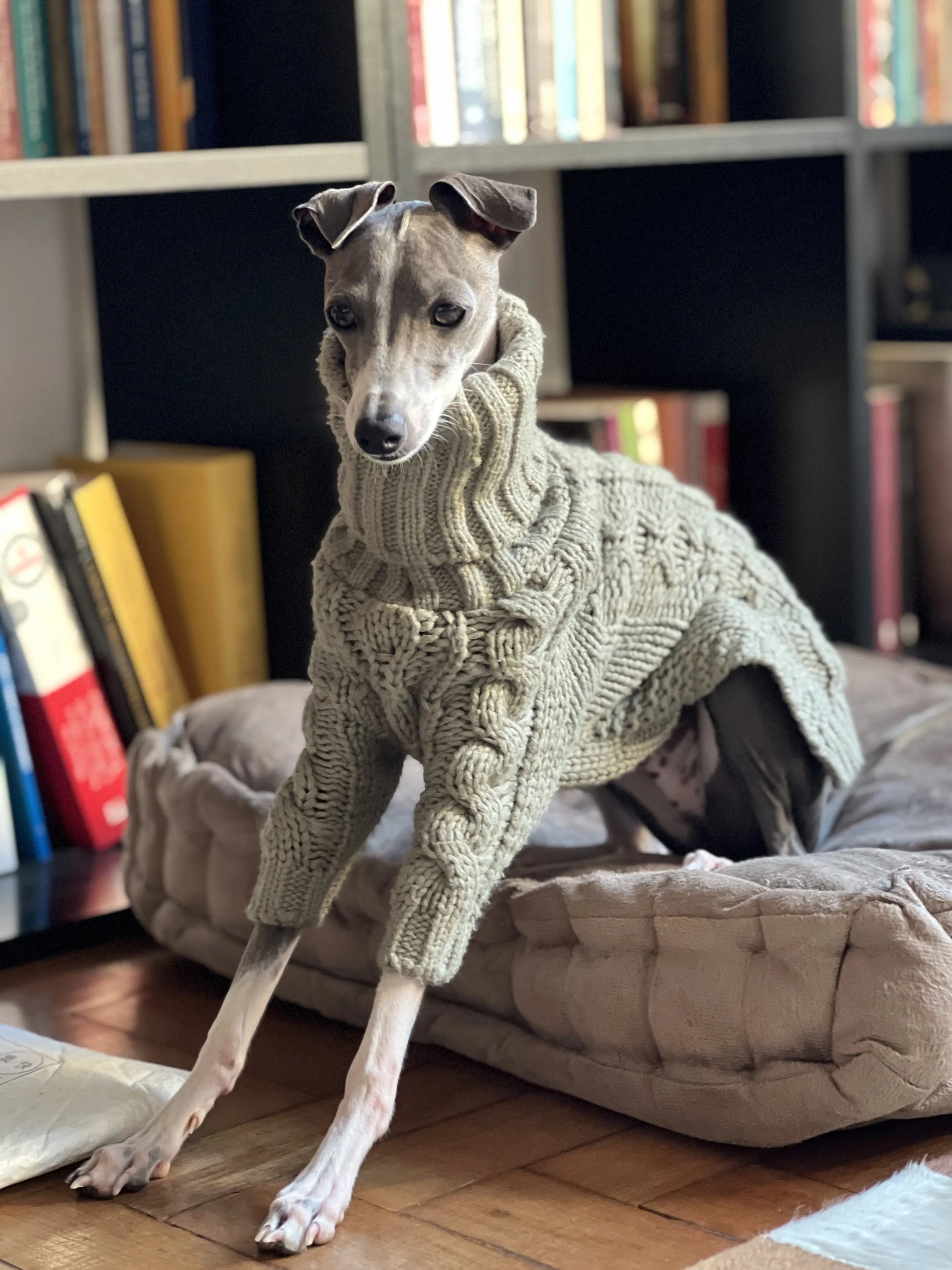 Chunky Turtleneck Cableknit Sweater in Sage for Italian Greyhound/Whippet