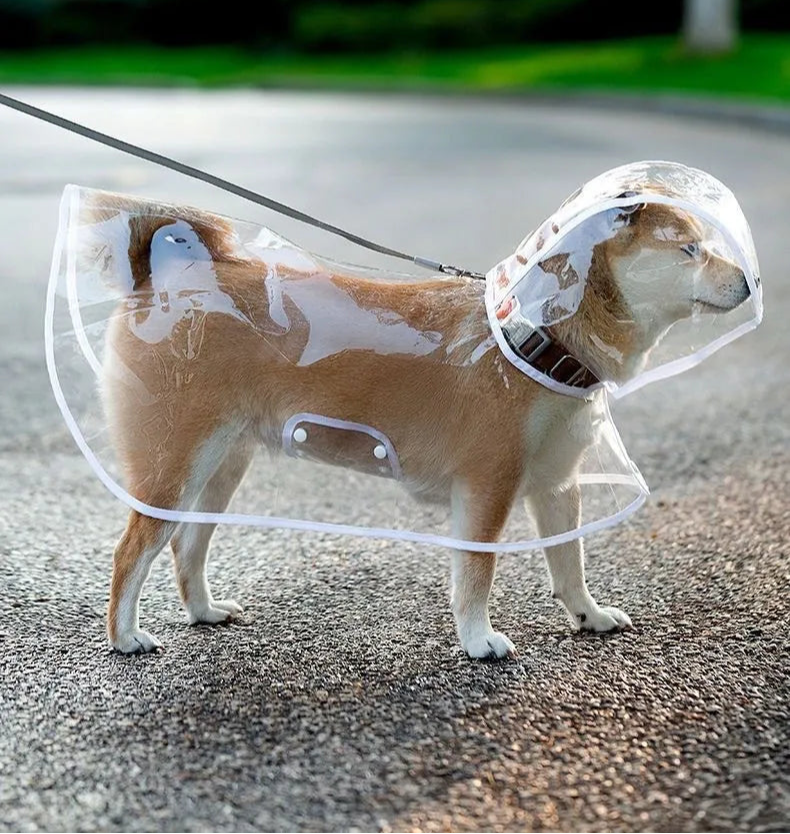 Transparent Dog Raincoat