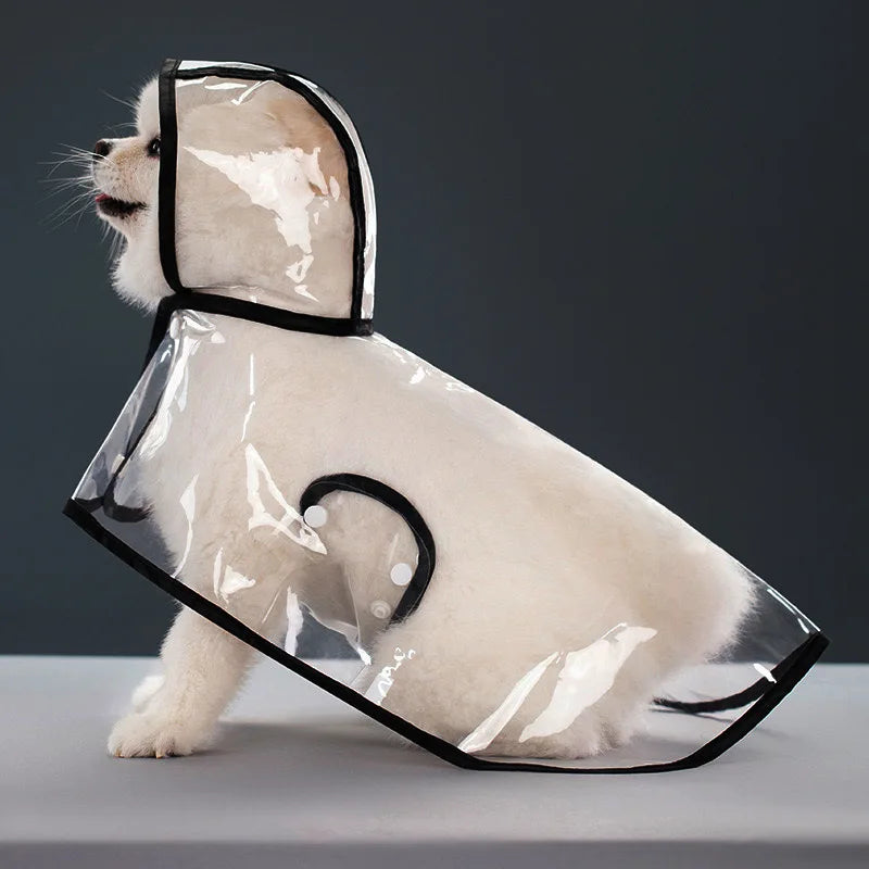 Transparent Dog Raincoat