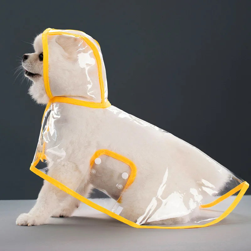 Transparent Dog Raincoat