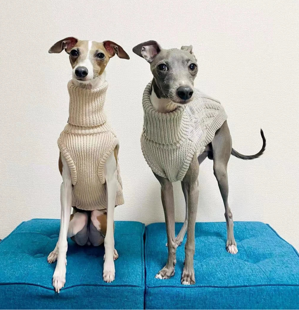 Turtleneck Diamond-Knit Sweater in Oatmeal for Italian Greyhound/Whippet