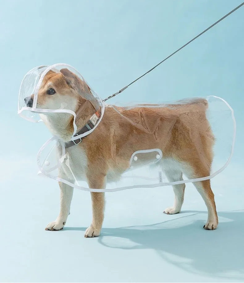 Transparent Dog Raincoat