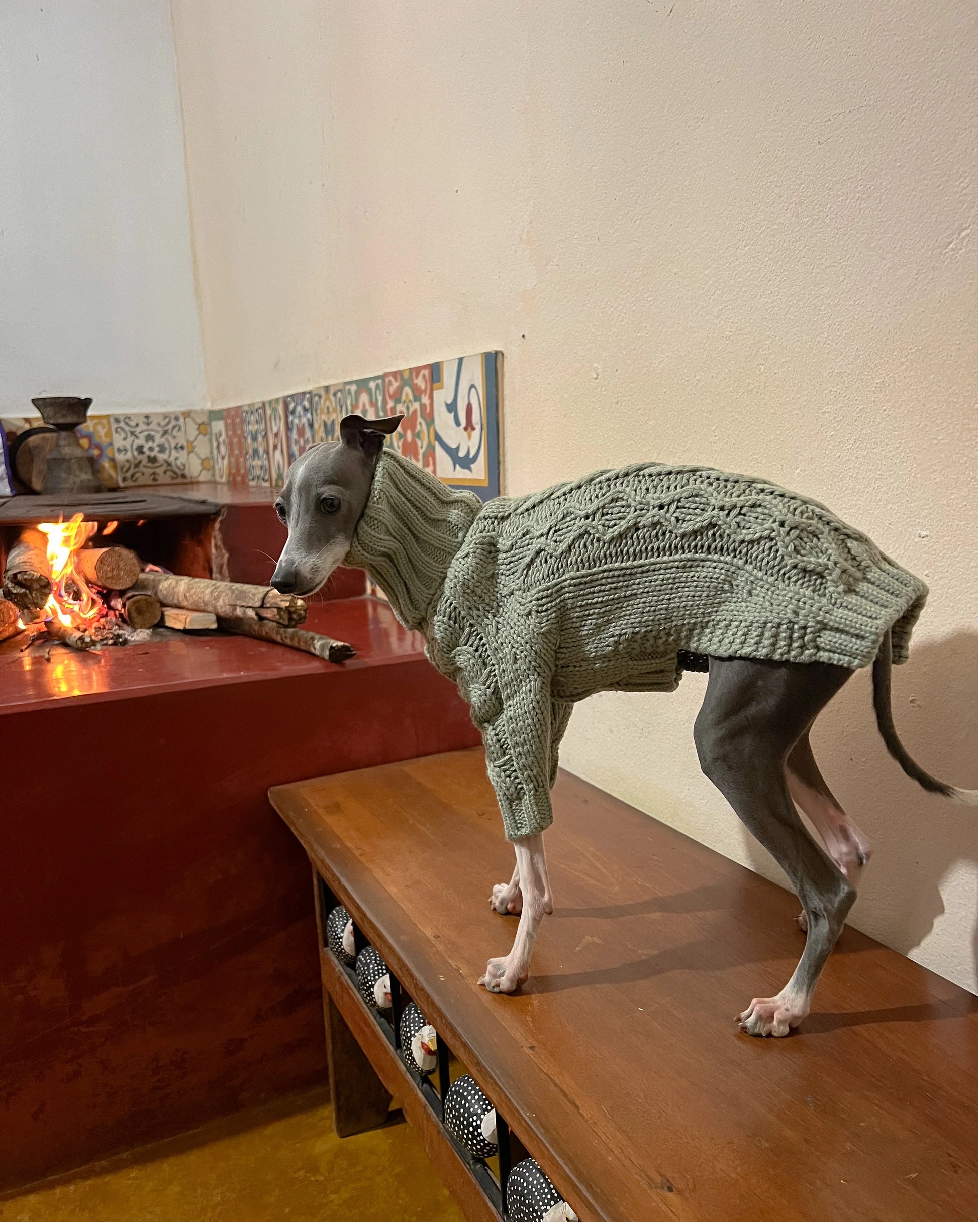 Chunky Turtleneck Cableknit Sweater in Sage for Italian Greyhound/Whippet