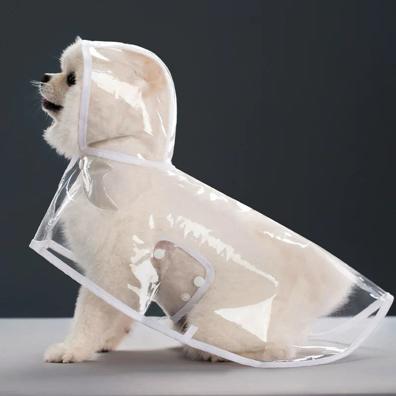 Transparent Dog Raincoat