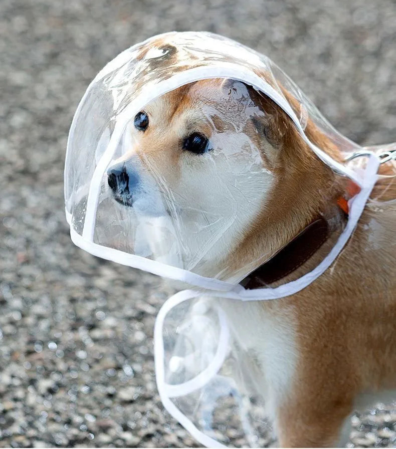 Transparent Dog Raincoat