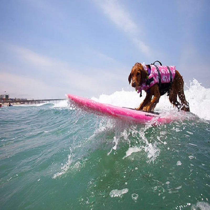 Dog Shark Life Jacket