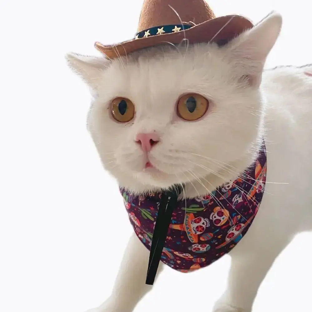 Wild West Cowboy Hat for Small Dog or Cat