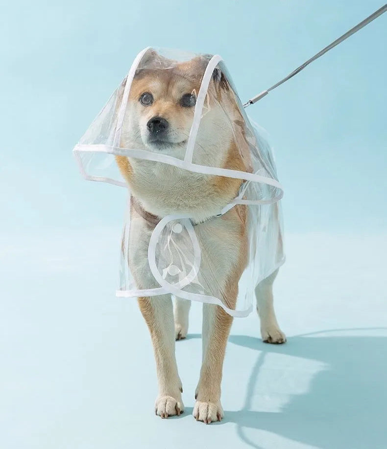 Transparent Dog Raincoat