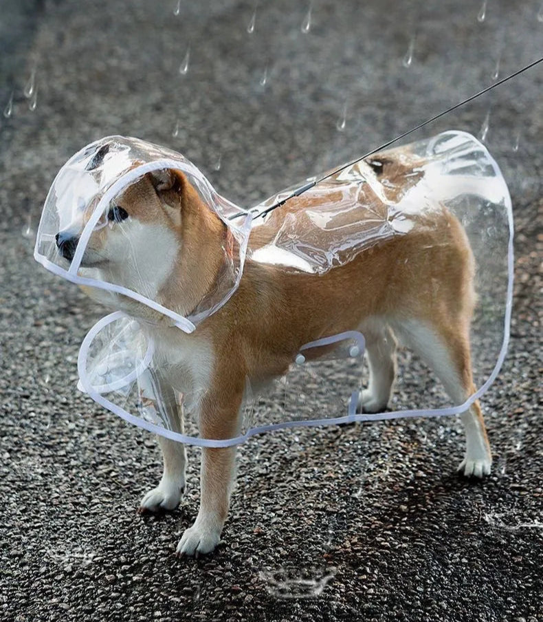 Transparent Dog Raincoat