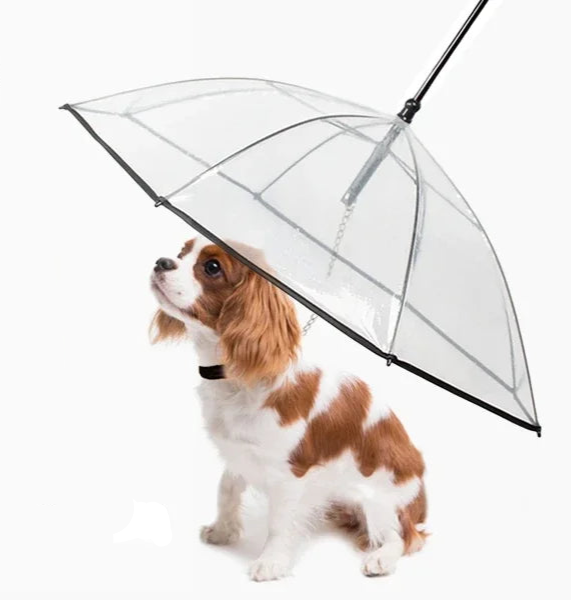 Dog Umbrella with Leash for Small Pets