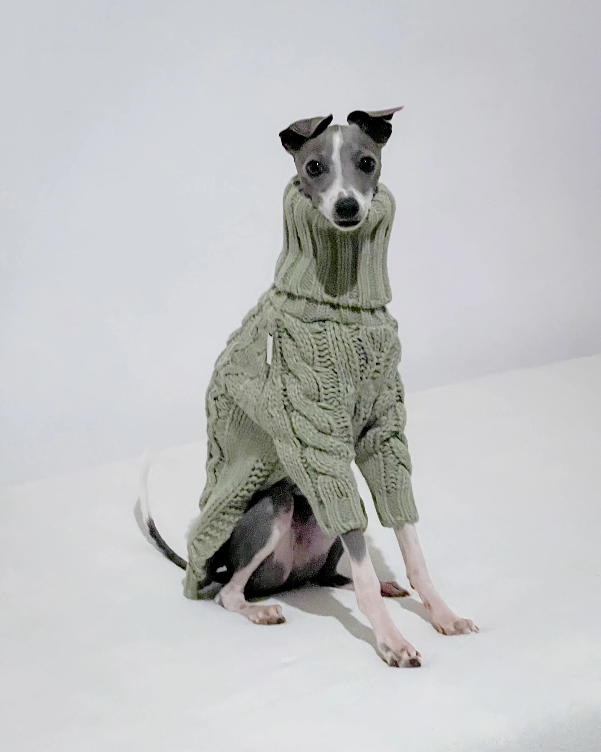 Chunky Turtleneck Cableknit Sweater in Sage for Italian Greyhound/Whippet