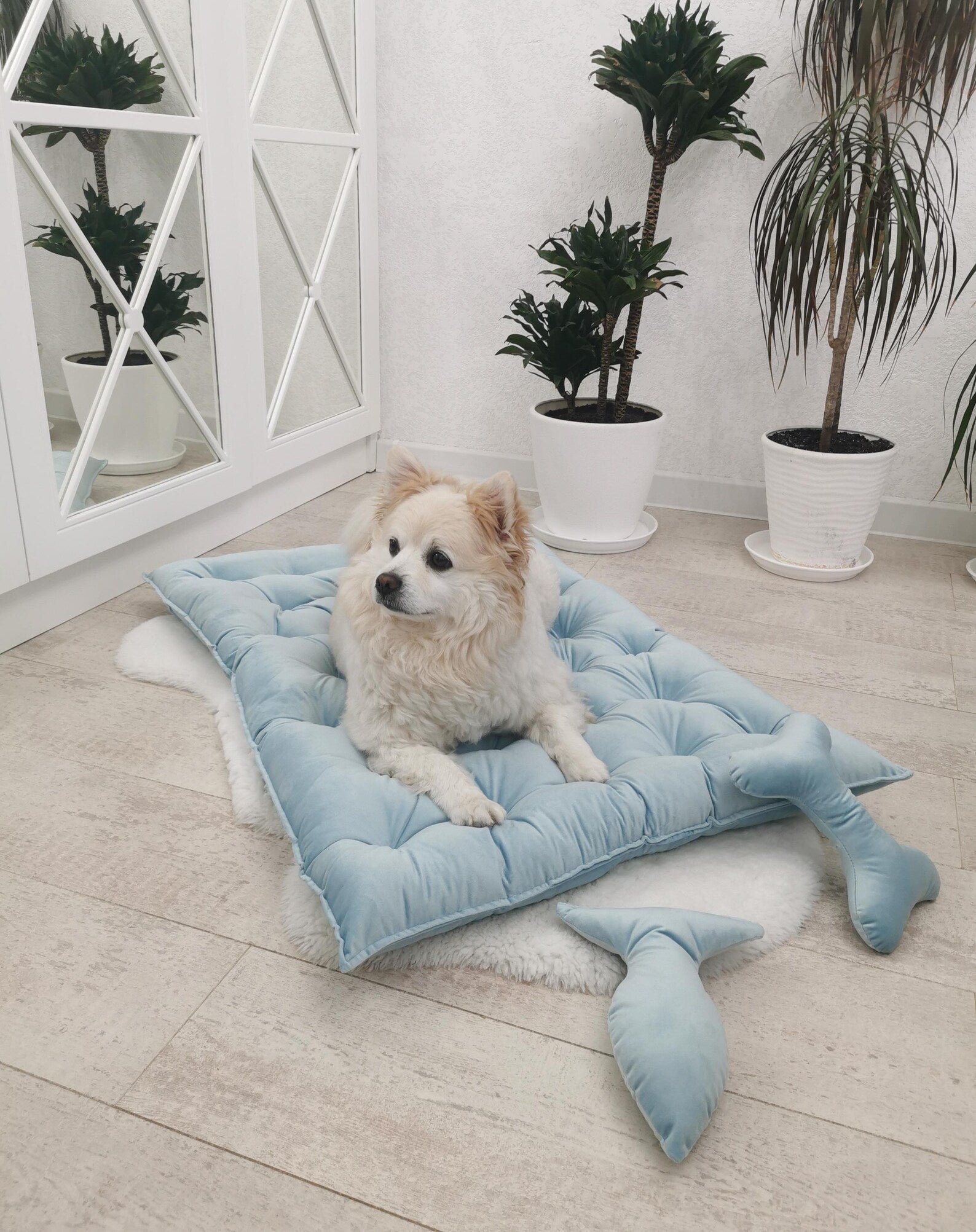 Velvet Dog Pillow Bed in Sky Blue