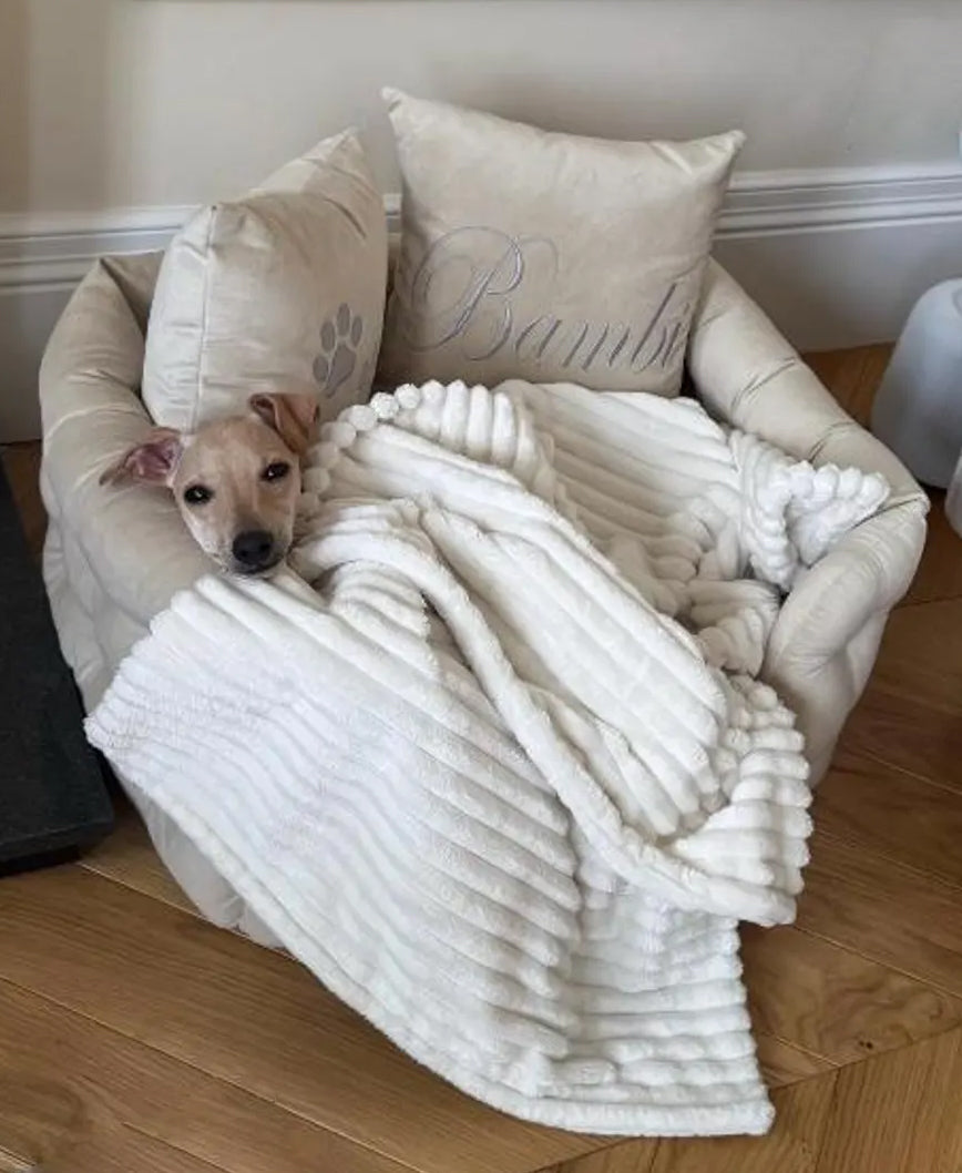 Velvet Dog Bed and Blanket Set in Cream